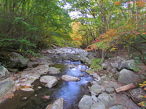 feature photo