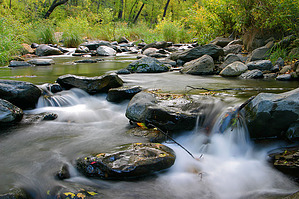 feature photo