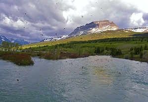 feature photo