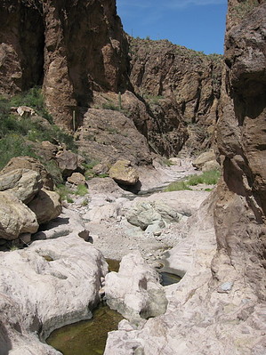 feature photo