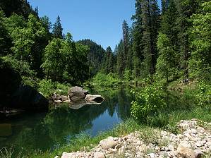feature photo