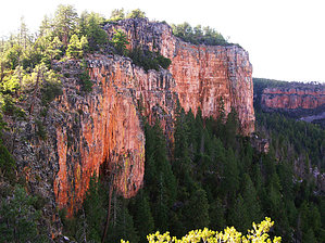 feature photo
