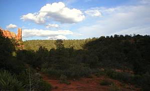 feature photo