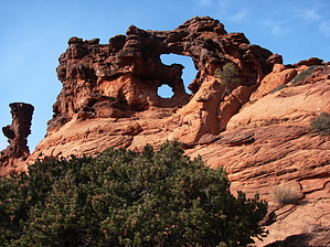 feature photo