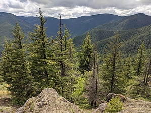 feature photo