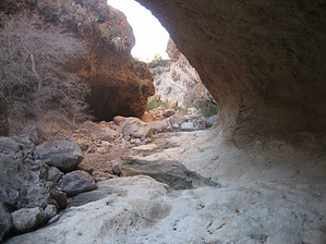 feature photo