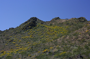 feature photo