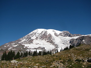 feature photo