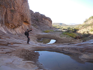 feature photo