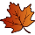 foliage observation
