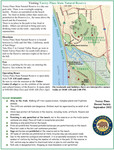 Torrey PDF Page 1