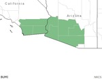 BUMI Range