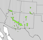 New Mexican Locust Native Coverage