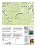 Boulder Creek Falls Trail - 2