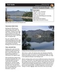 NPS Info