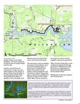 NPS Data Sheet