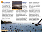 2013 Brochure - 2