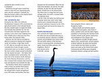 2013 Brochure - 4