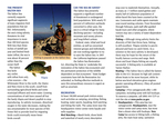 2013 Brochure - 5