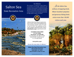 2013 Brochure