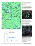 park pdf - 2