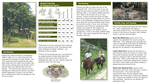 FS Brochure - 2