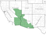 area
