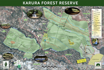 Karura Forest Reserve