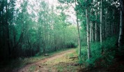 photo thumbnail #5