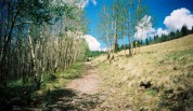 photo thumbnail #7