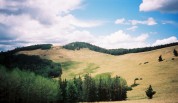 photo thumbnail #9