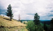 photo thumbnail #10