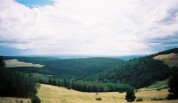 photo thumbnail #12