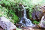 photo thumbnail #1