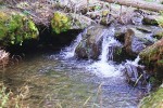 photo thumbnail #2