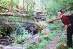 photo thumbnail #4