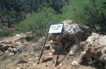 photo thumbnail #8