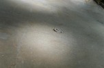 photo thumbnail #11