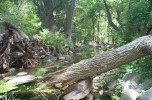 photo thumbnail #13