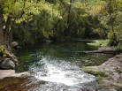 photo thumbnail #1