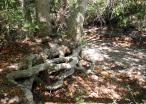 photo thumbnail #8