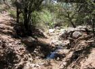 photo thumbnail #9