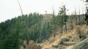 photo thumbnail #1