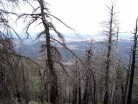 photo thumbnail #6