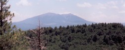 photo thumbnail #4