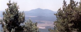 photo thumbnail #6