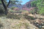 photo thumbnail #13