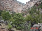 photo thumbnail #8