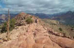 photo thumbnail #9