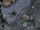 photo thumbnail #14